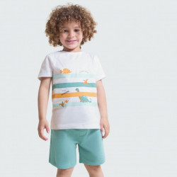 Conjunto Niño Dino Surf